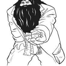 Hagrid Rubeus coloring page