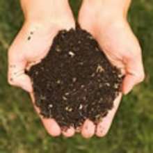 Composting report