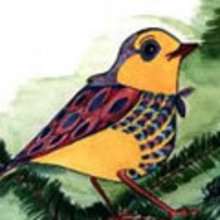 BIRD drawings - KIDS drawings - Drawing for kids