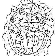 Cat in a basket coloring page - Coloring page - ANIMAL coloring pages - PET coloring pages - CAT coloring pages - CATS coloring pages