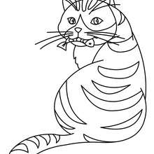 Cat eating a fish coloring page