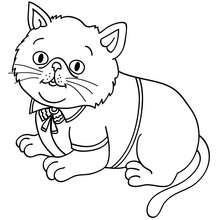 Elegant cat coloring page - Coloring page - ANIMAL coloring pages - PET coloring pages - CAT coloring pages - CATS coloring pages