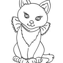 Lady cat coloring page - Coloring page - ANIMAL coloring pages - PET coloring pages - CAT coloring pages - CATS coloring pages