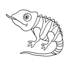 Cute chameleon coloring page - Coloring page - ANIMAL coloring pages - REPTILE coloring pages - CHAMELEON coloring pages