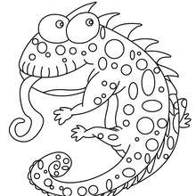 Funny chameleon coloring page - Coloring page - ANIMAL coloring pages - REPTILE coloring pages - CHAMELEON coloring pages