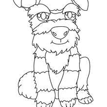 Terrier to color in - Coloring page - ANIMAL coloring pages - PET coloring pages - DOG coloring pages - TERRIER coloring pages