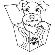 Terrier Dog coloring page - Coloring page - ANIMAL coloring pages - PET coloring pages - DOG coloring pages - TERRIER coloring pages