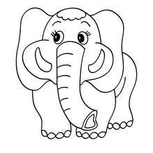 Elephant to color in - Coloring page - ANIMAL coloring pages - WILD ANIMAL coloring pages - AFRICAN ANIMALS coloring pages - ELEPHANT coloring pages
