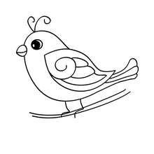 Cute bird coloring page - Coloring page - ANIMAL coloring pages - BIRD coloring pages - BIRDS coloring pages