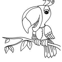 Parrot coloring page - Coloring page - ANIMAL coloring pages - BIRD coloring pages - PARROT coloring pages