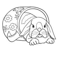 Rabbit in a cup coloring page