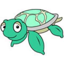 caneta, Como desenhar uma tartaruga marinha
