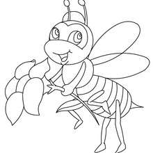 Bee online coloring - Coloring page - ANIMAL coloring pages - INSECT coloring pages - BEE coloring pages