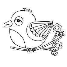 Kawaii bird coloring page