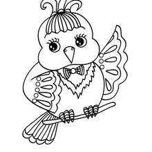 Canary coloring page - Coloring page - ANIMAL coloring pages - BIRD coloring pages - CANARY coloring pages
