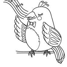 Nightingale online coloring - Coloring page - ANIMAL coloring pages - BIRD coloring pages - NIGHTINGALE coloring pages