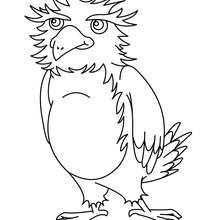 Owl online coloring - Coloring page - ANIMAL coloring pages - BIRD coloring pages - OWL coloring pages