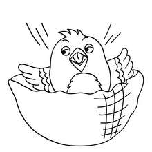 Canary to color in - Coloring page - ANIMAL coloring pages - BIRD coloring pages - CANARY coloring pages