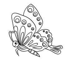 Kawaii butterfly online coloring - Coloring page - ANIMAL coloring pages - INSECT coloring pages - BUTTERFLY coloring pages - KAWAII BUTTERFLY coloring pages