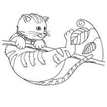 Cat on tree coloring page