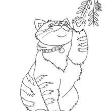 Cute cat online coloring - Coloring page - ANIMAL coloring pages - PET coloring pages - CAT coloring pages - CATS coloring pages