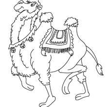 Hybrid Camel coloring page