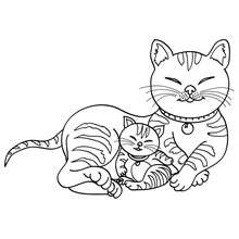 Cat and kitten coloring page - Coloring page - ANIMAL coloring pages - PET coloring pages - CAT coloring pages - CATS coloring pages