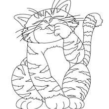 Big fat cat coloring page - Coloring page - ANIMAL coloring pages - PET coloring pages - CAT coloring pages - CATS coloring pages