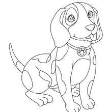 Dog coloring page - Coloring page - ANIMAL coloring pages - PET coloring pages - DOG coloring pages - DOG to color in
