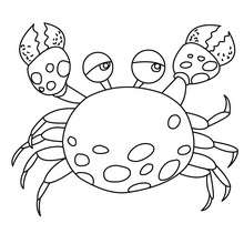 Crab picture coloring page