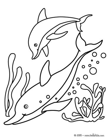 Dolphins Coloring Pages 5