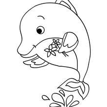 Kawaii dolphin to color in - Coloring page - ANIMAL coloring pages - SEA ANIMALS coloring pages - DOLPHIN coloring pages