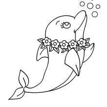 Lovely dolphin coloring page - Coloring page - ANIMAL coloring pages - SEA ANIMALS coloring pages - DOLPHIN coloring pages