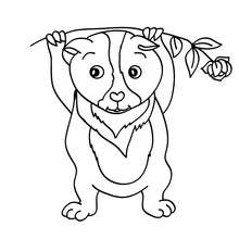 Guinea pig coloring page
