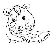 Eating guinea pig coloring page - Coloring page - ANIMAL coloring pages - PET coloring pages - GUINEA PIG coloring pages