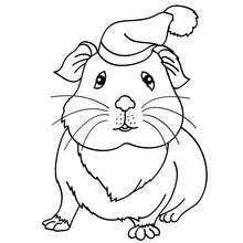 Guinea pig wearing a hat coloring page