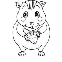 Kawaii hamster coloring page