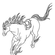 Running wild horse coloring page - Coloring page - ANIMAL coloring pages - FARM ANIMAL coloring pages - HORSE coloring pages - WILD HORSE coloring pages