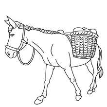 Donkey coloring page - Coloring page - ANIMAL coloring pages - FARM ANIMAL coloring pages - DONKEY coloring pages