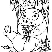 Funny panda coloring page