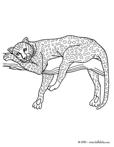 African panther coloring pages - Hellokids.com
