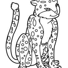 Panther to color in - Coloring page - ANIMAL coloring pages - WILD ANIMAL coloring pages - JUNGLE ANIMALS coloring pages - PANTHER coloring pages