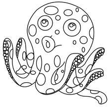 Octopus coloring page - Coloring page - ANIMAL coloring pages - SEA ANIMALS coloring pages - OCTOPUS coloring pages