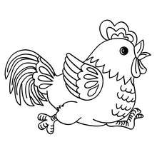 Cock to color in - Coloring page - ANIMAL coloring pages - FARM ANIMAL coloring pages - COCK coloring pages