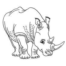 Two-horned Rhinoceros coloring page
