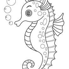 Seahorse online coloring - Coloring page - ANIMAL coloring pages - SEA ANIMALS coloring pages - SEAHORSE coloring pages