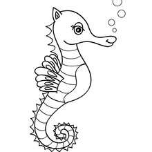 Cute seahorse coloring page - Coloring page - ANIMAL coloring pages - SEA ANIMALS coloring pages - SEAHORSE coloring pages