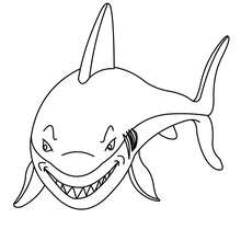Smiling shark coloring page - Coloring page - ANIMAL coloring pages - SEA ANIMALS coloring pages - SHARK coloring pages