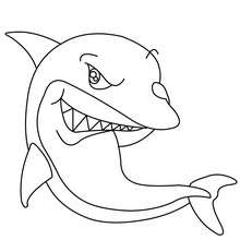 Cute shark coloring page - Coloring page - ANIMAL coloring pages - SEA ANIMALS coloring pages - SHARK coloring pages