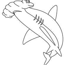 Hammerhead shark online coloring - Coloring page - ANIMAL coloring pages - SEA ANIMALS coloring pages - SHARK coloring pages